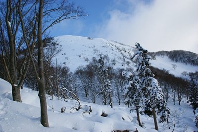 DSC05425.jpg (169.36 KiB) 閲覧された回数 6444 回 笹峠と近江展望台への登り