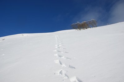 DSC05435.jpg (53.74 KiB) 閲覧された回数 6458 回 最後の登りと先行者のトレース