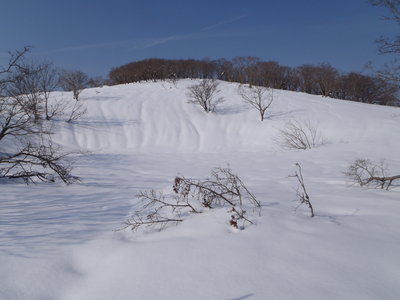 P1220037.JPG (682.02 KiB) 閲覧された回数 5031 回 元池