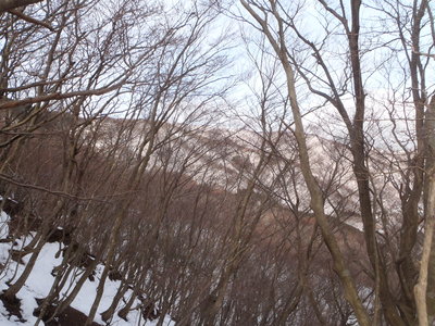 P1220003.JPG (654.31 KiB) 閲覧された回数 5029 回 801尾根