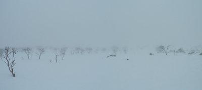 パノラマ 2_1_1.JPG