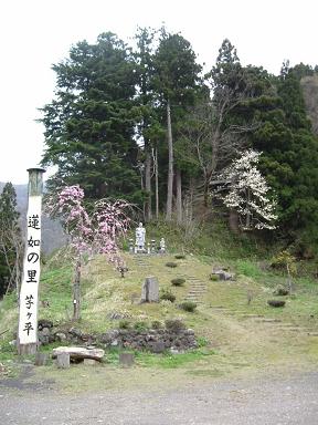 芋ヶ平(ネットからの転載)