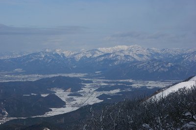 てっきりあのへんに居るのかと