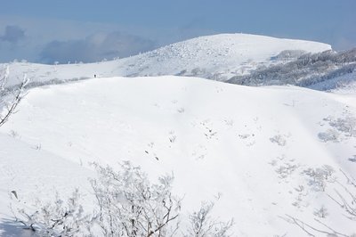 平原を進む先行者