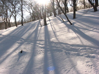 ● なんとなく、頼り無いシュプールだよな