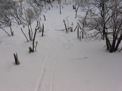 ● 恐々のシュプール、アイスバーンなんだもん