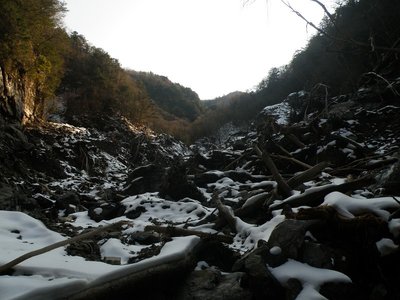 土砂・流木で埋まった谷