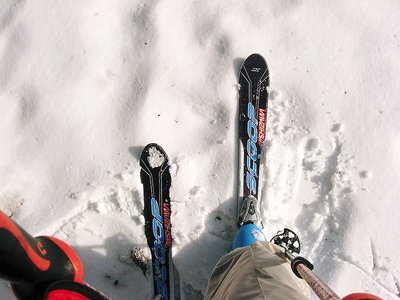 ● 短すぎたか、人に見せられない滑降だね格好も