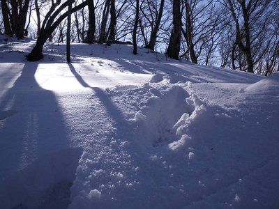 雪稜の下り