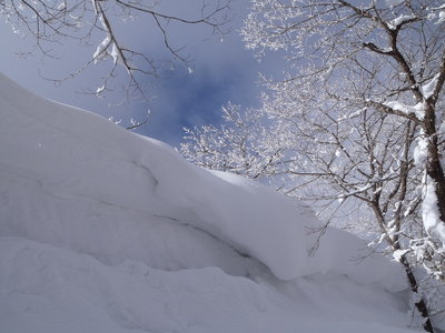 せっぴ2.JPG (683.6 KiB) 閲覧された回数 7825 回 せっぴ