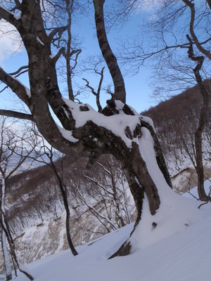 P1290085.JPG (679.74 KiB) 閲覧された回数 7854 回 ryuuzin