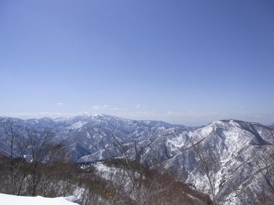 金糞北尾根と大ダワ　biwacoさん見えてる～