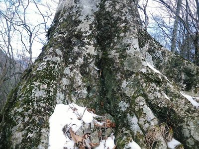 前熊伏山～観音山