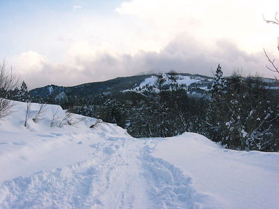 ● 夕方には青空だ、明日は晴れるかな