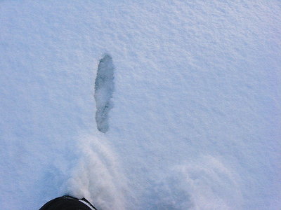 ● スキーでもこれだけ潜るよ、蹴散らして滑る爽快だよな