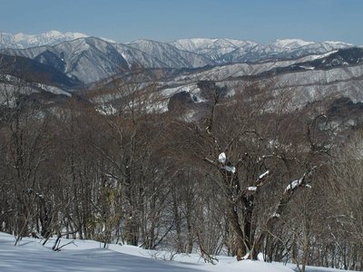 IMG_2602-s.JPG (190.45 KiB) 閲覧された回数 6199 回 もう少し北へ振れば御前岳、栗ヶ岳が望める。