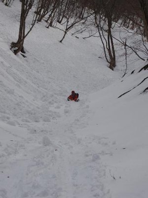 コグルミボブスレー１