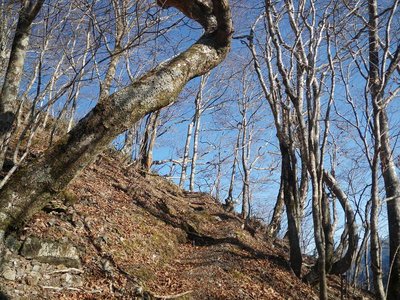 青崩峠から前熊伏山へ