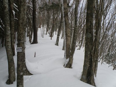 ヤセ尾根の積雪