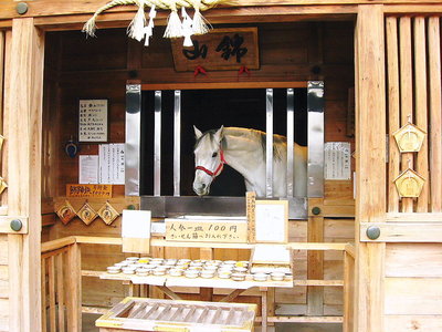 ● 賑やかしの絵を貼るよ　ヒヒン～