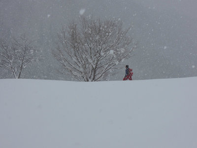 こんな感じでした。