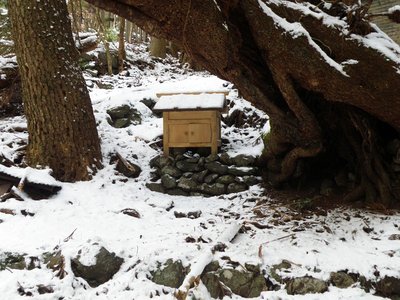桜の大木下の祠