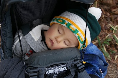 2010年4月鎌ヶ岳いつも速攻で寝てしまう