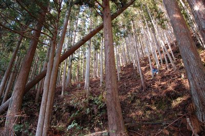 1.jpg (487.27 KiB) 閲覧された回数 2803 回 1.jpg