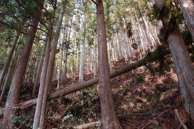 2.jpg (479.92 KiB) 閲覧された回数 2800 回 2.jpg