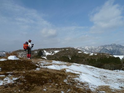 １，５枚のさなりん