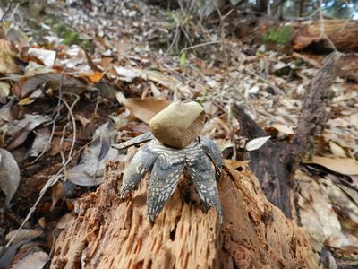 1.JPG (92.62 KiB) 閲覧された回数 5457 回 タコ!