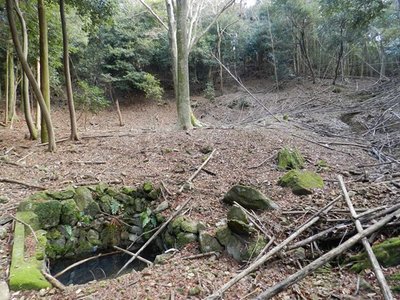 7.JPG (119.67 KiB) 閲覧された回数 5457 回 広場