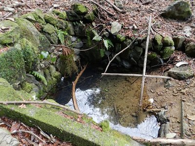 8.JPG (114.29 KiB) 閲覧された回数 5457 回 湧水