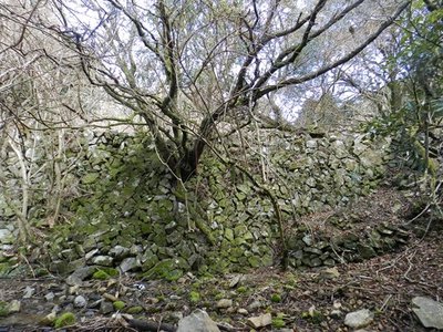 トレりんの画像で見た石積があった