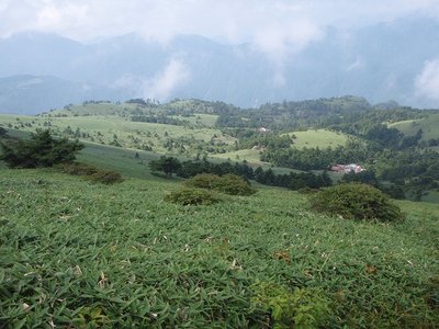 P8211197.jpg (116.68 KiB) 閲覧された回数 3593 回 瓶ヶ森から石鎚方面(右奥)