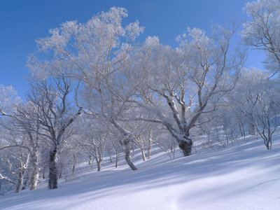 白弓から延びる尾根