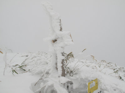 雨乞岳山頂