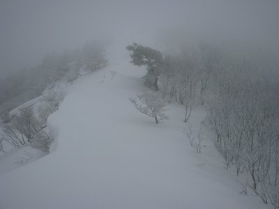 稜線へ出るも視界なし