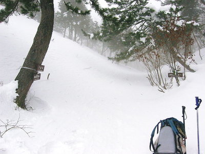 大雪だどー.JPG (160.63 KiB) 閲覧された回数 10466 回 ● 大雪だどー、雪は好いなあ