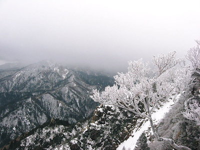 ● 中道８合目からのルンゼ攻め、近場がいいですよね。<br />あまりの冷たさに逃げる先で熱燗飲んでるんだもん、画像は載せられませんけど。