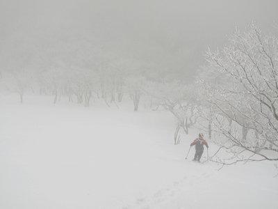 雪原を行く宮指路さん