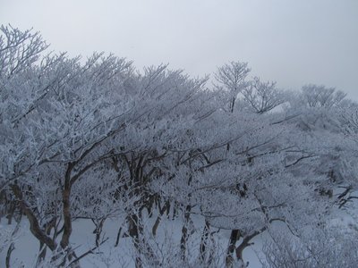 IMG_7791.jpg (172.68 KiB) 閲覧された回数 7772 回 なまり