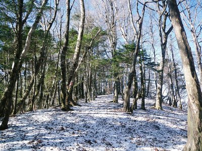 前熊から観音への縦走路入口