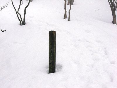 ● 墓標、もう何年になるのかな。この隣へはだれも来ないよ、報告しました。