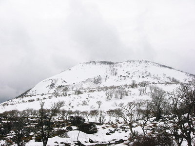 ● 袴腰ケ原からおっぱい展望丘、豊かだね