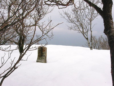 ● 割れてる石碑