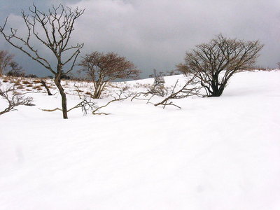 ● ふ～ちゃん池は、雪布団被ってネンネしてる