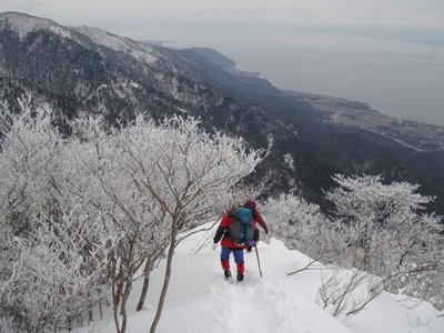 写真がないから、他の霧氷を貼っておこ！