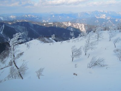 マナコ谷ルート（2月4日）