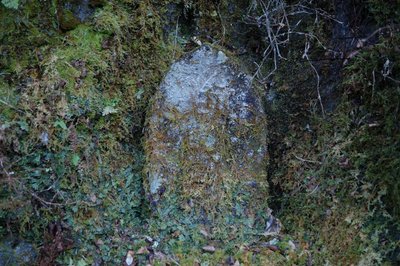 何が書いてあるかは意識して見たことがありません